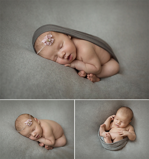 red deer baby photographer, gray baby, newborn photos, taco pose